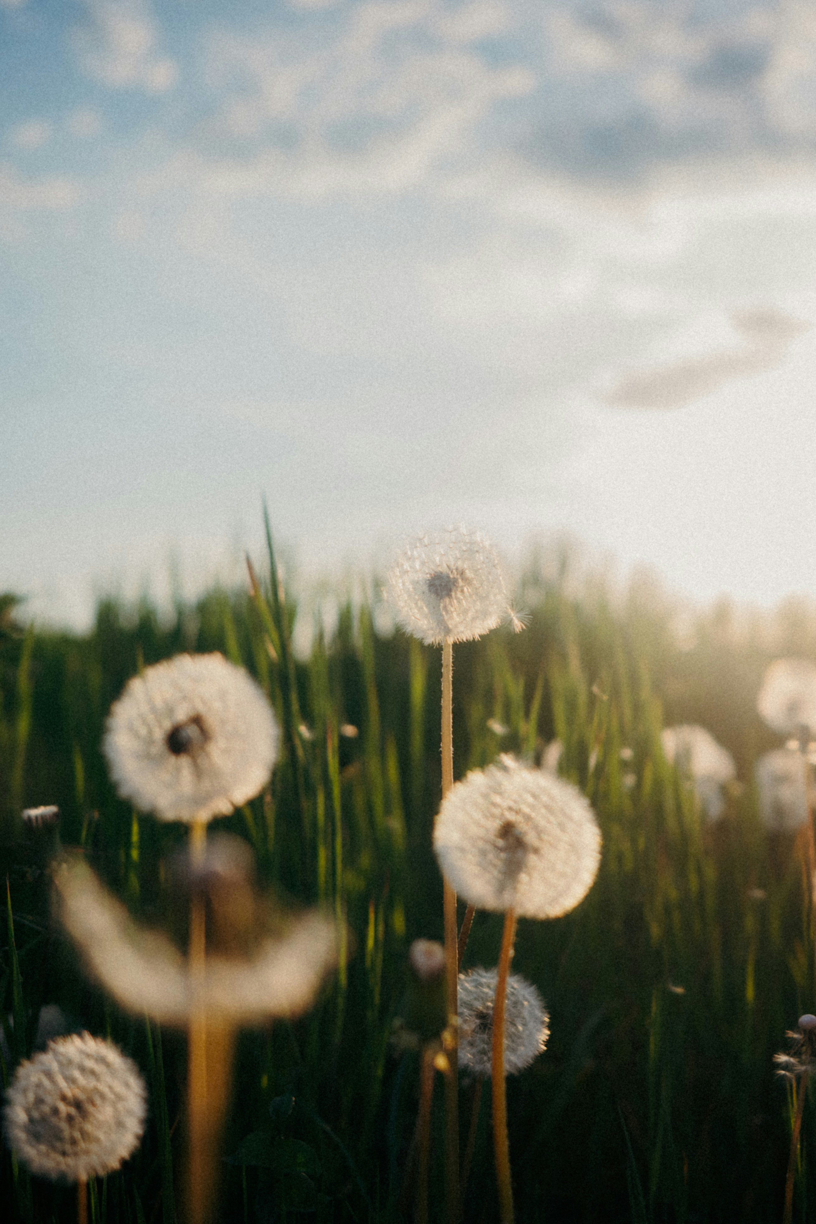 A Prescription for Joy